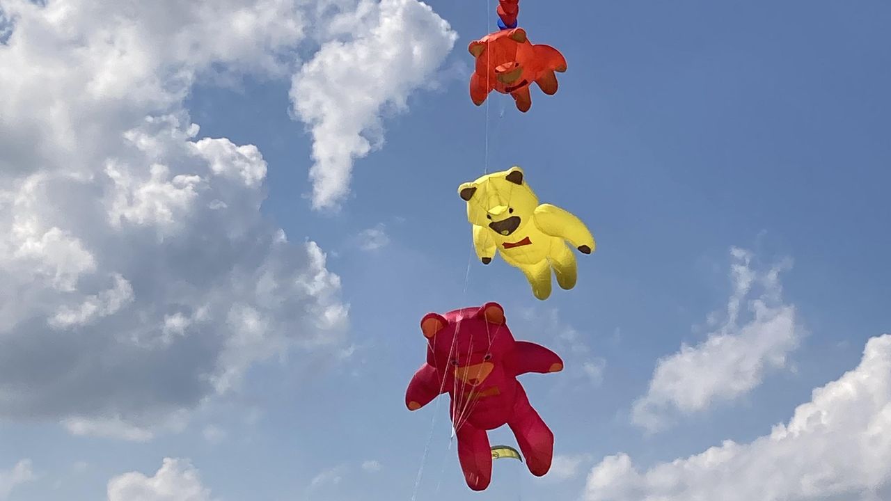 Drachenwiese hier: Norddeich Drachenwiese hier: Norddeich